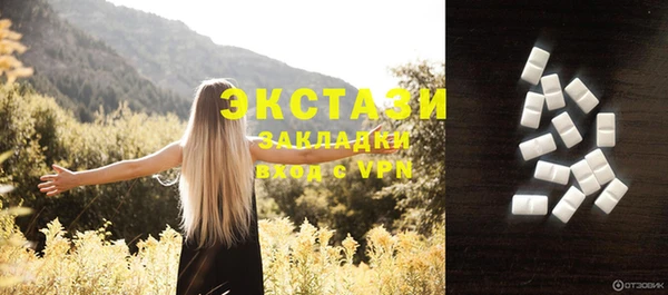 индика Аркадак
