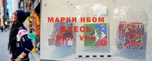 индика Аркадак