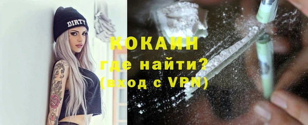 индика Аркадак
