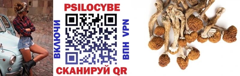 Галлюциногенные грибы мицелий  где можно купить   Ельня 